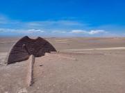 Arica