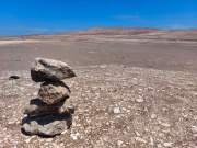 Arica