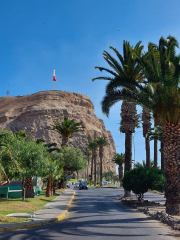 Arica
