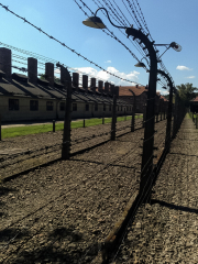 Cracovia - Auschwitz