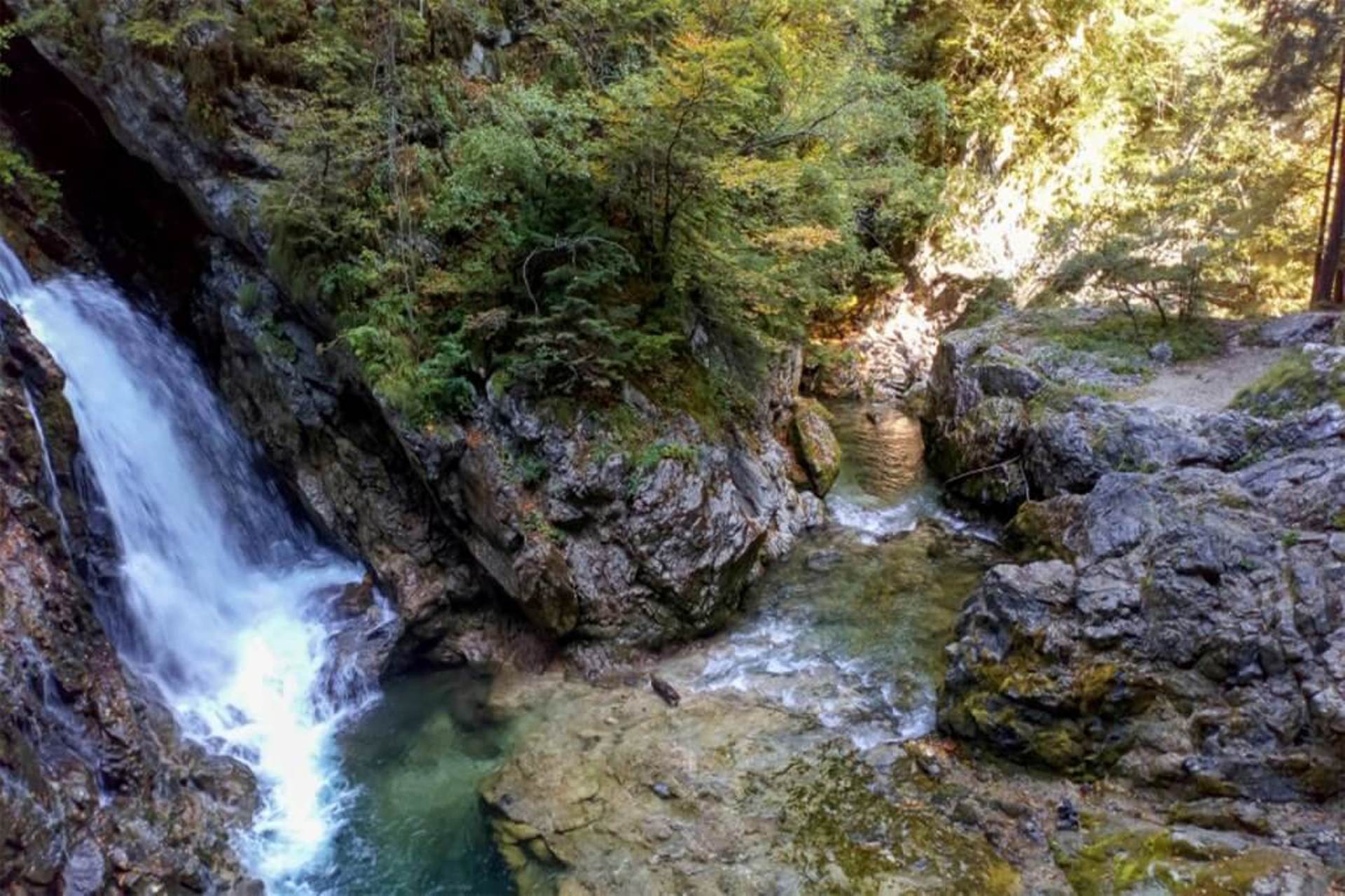 Una passeggiata nella Gola di Vintgar Una passeggiata nella Gola di Vintgar
