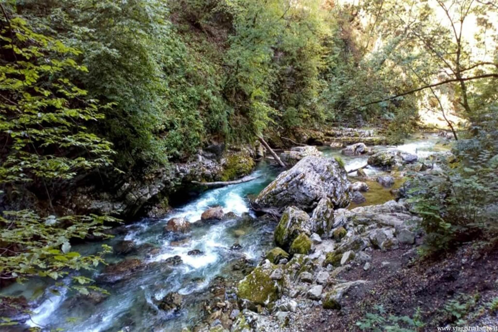 Scorcio della gola lungo il torrente Radovna gola vintgar
