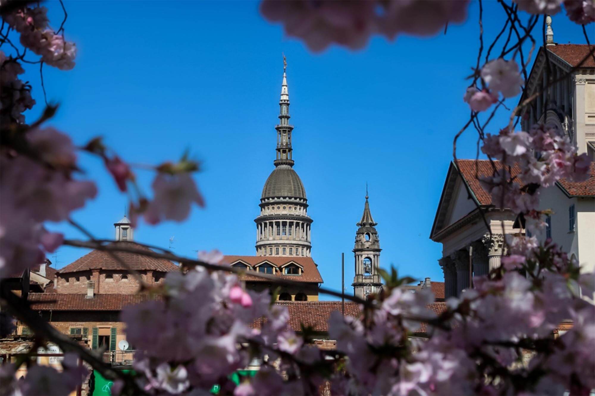 Alla scoperta di Novara Alla scoperta di Novara