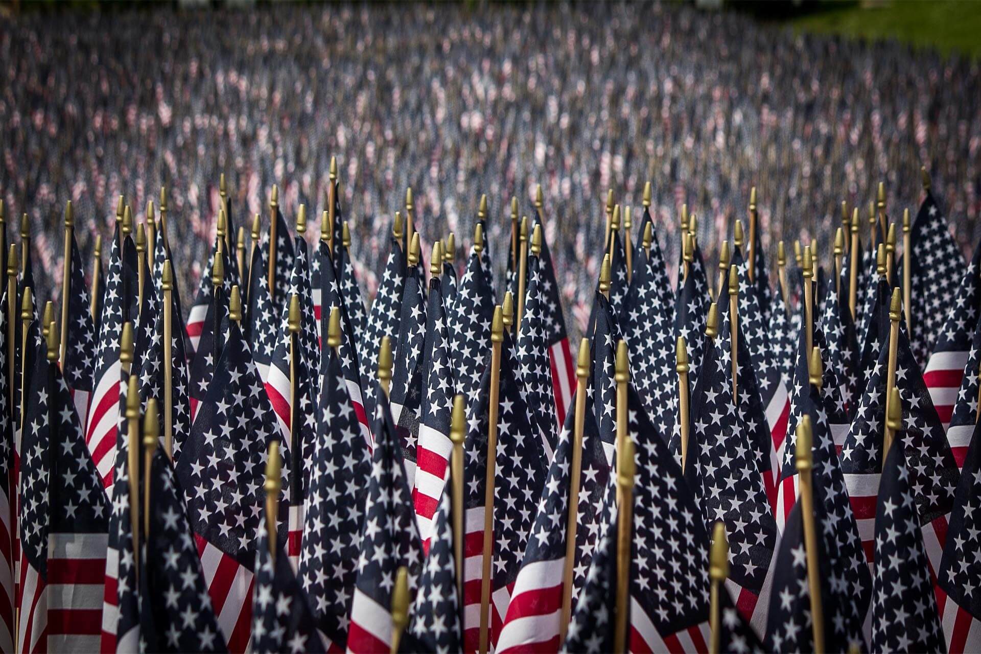 Bandiere americane durante un Memorial Day bandiere americane