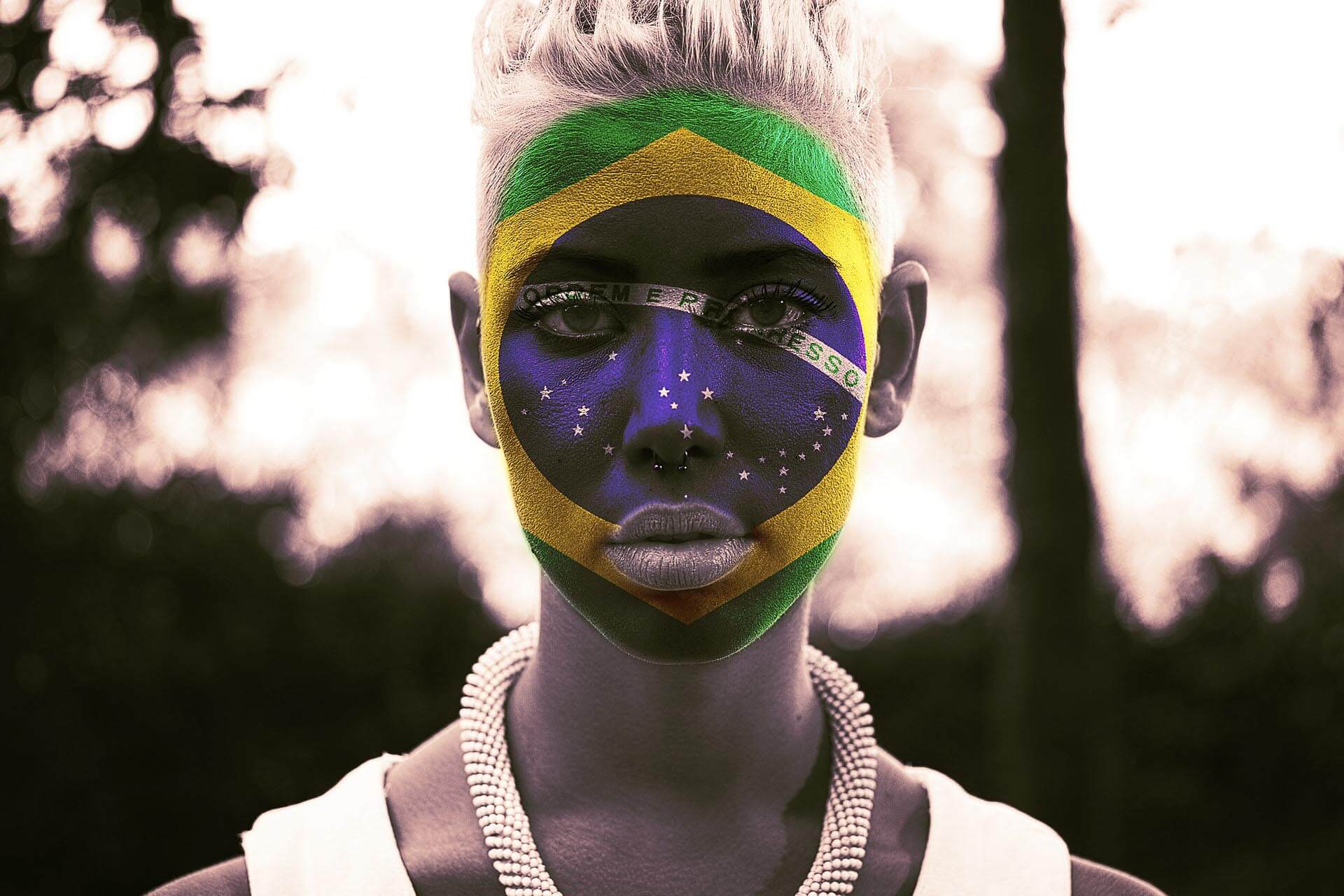 I colori della bandiera brasiliana colori bandiera brasiliana