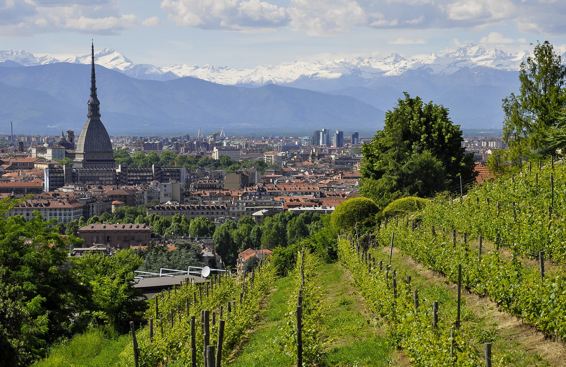 Piemonte - Viaggi tra le dita