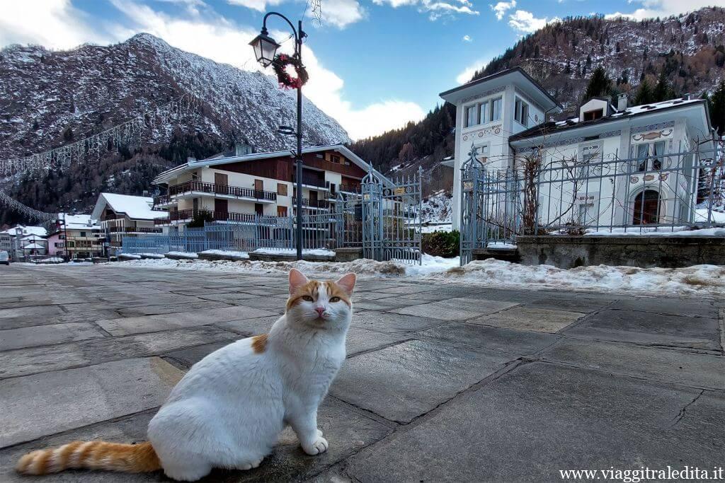 Casa Smitt e un curioso abitante casa smitt