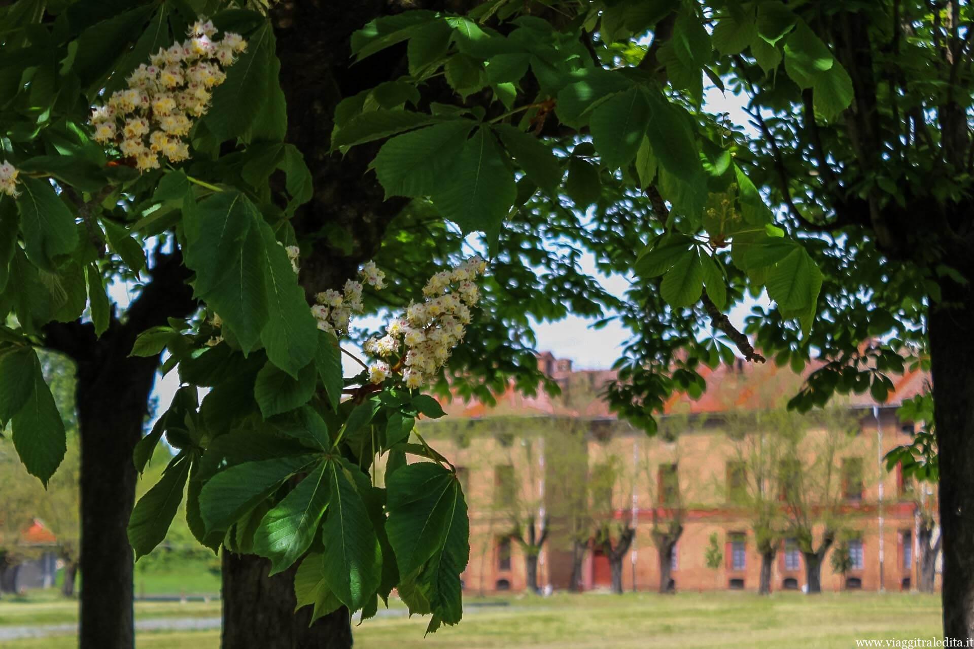 Cittadella di Alessandria Cittadella di Alessandria
