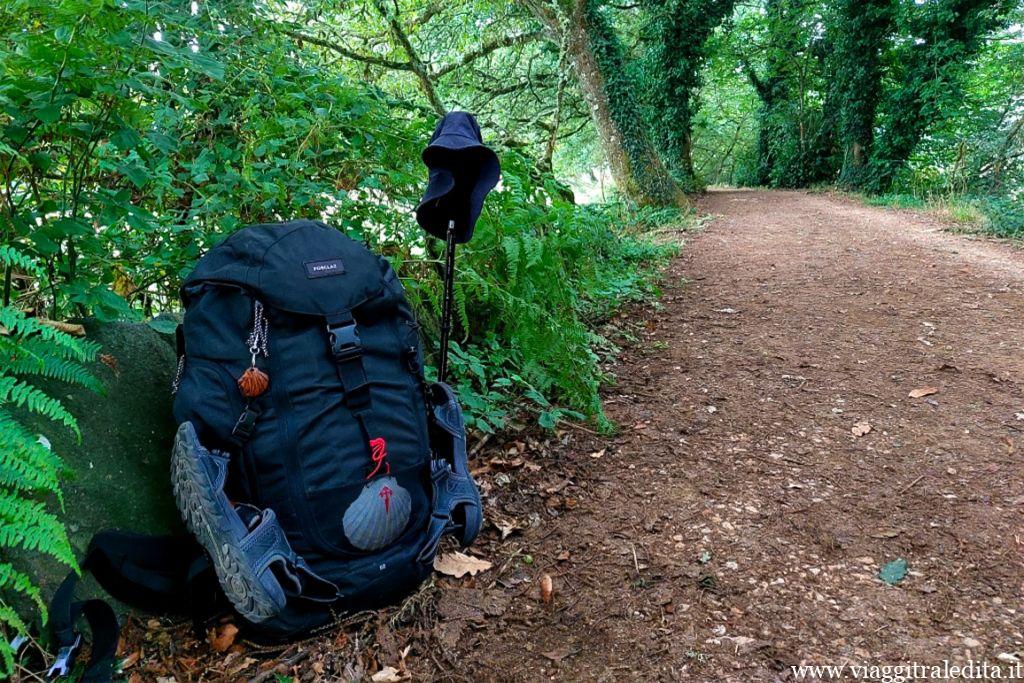 Camino de Santiago Camino de Santiago