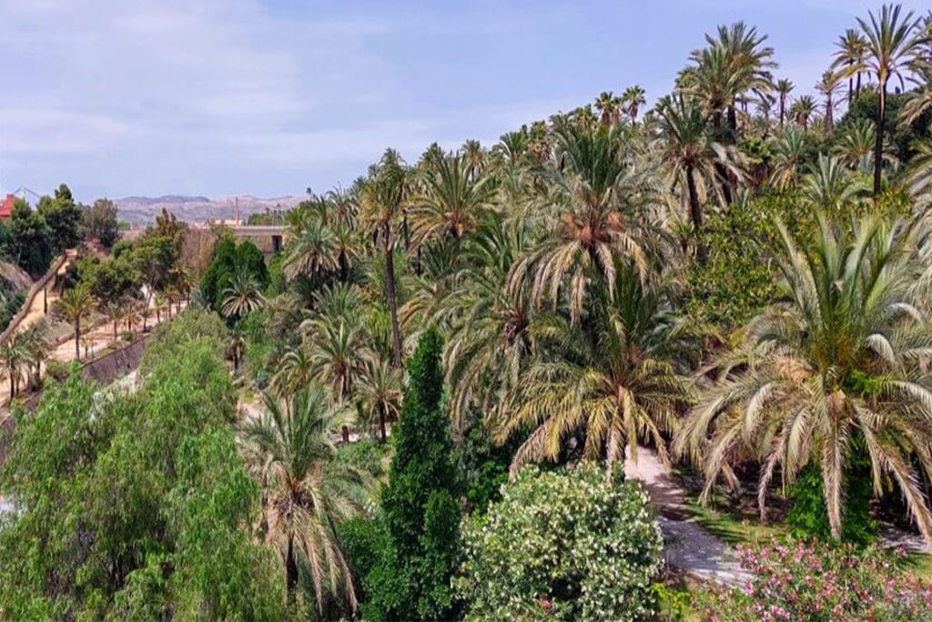Elche, la città delle palme Elche, la città delle palme