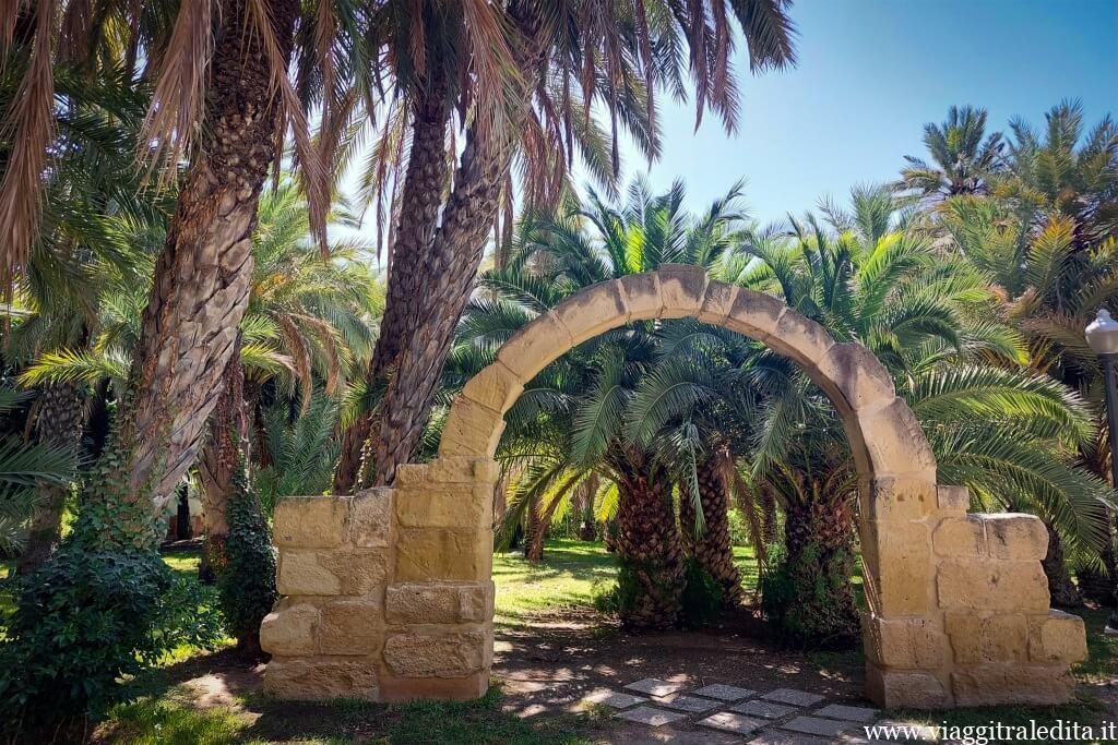 Palmeral de Elche Palmeral de Elche